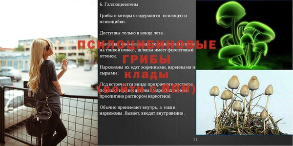 прущая мука Баксан