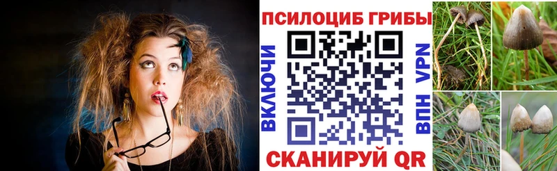 где купить наркоту Новая Ляля Псилоцибиновые грибы GOLDEN TEACHER